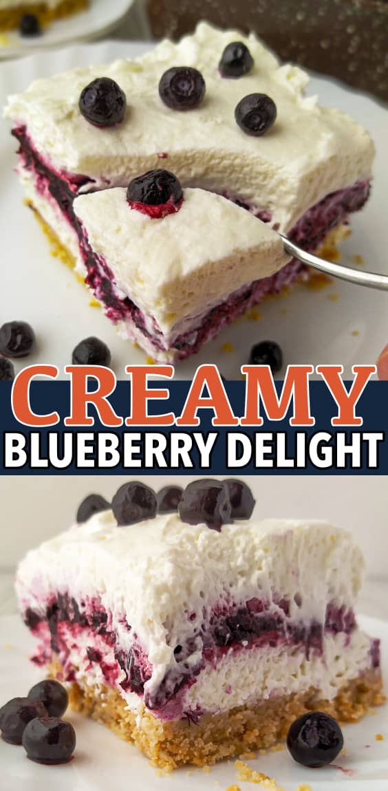 Blueberry Delight