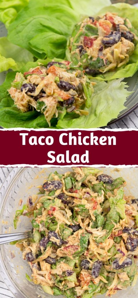 Taco Chicken Salad - {Classic Chicken Salad}