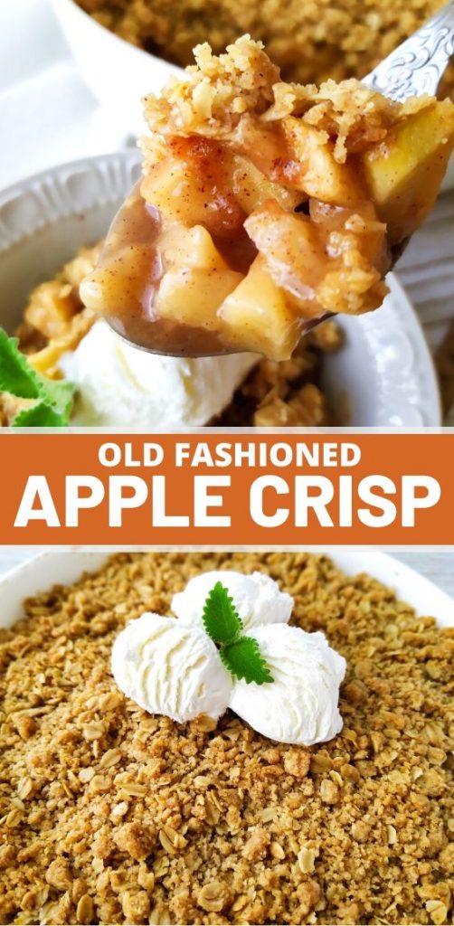 Old Fashioned Easy Apple Crisp {From Scratch}