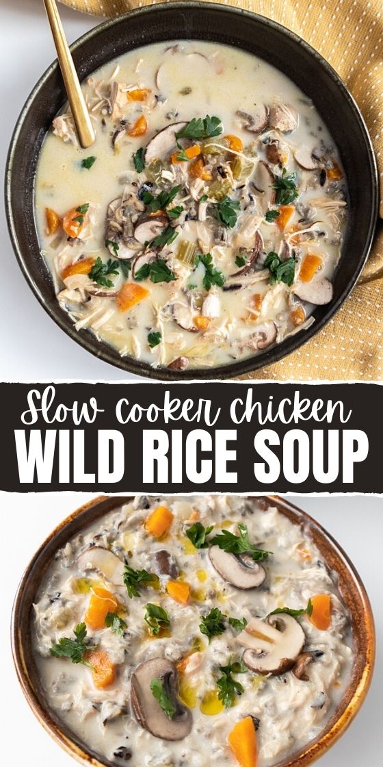 SLOW COOKER CHICKEN AND WILD RICE SOUP