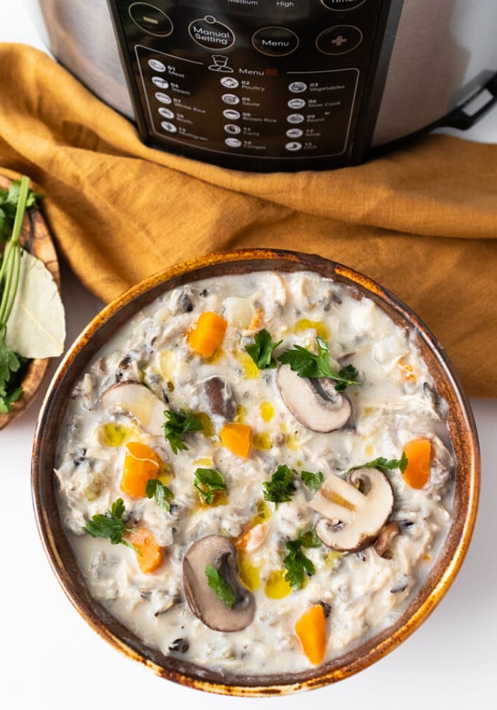 SLOW COOKER CHICKEN AND WILD RICE SOUP