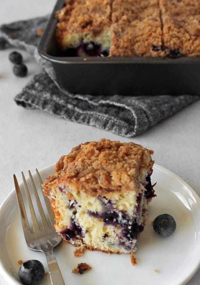 Blueberry Coffee Cake Recipe | 100K Recipes