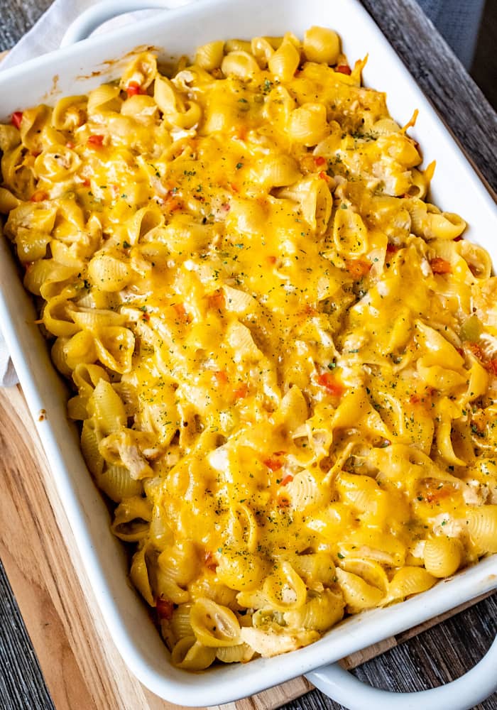 Cheesy Chicken Pasta Bake Recipe Easy Recipes Cheesy Chicken Pasta Bake Recipe Easy Recipes