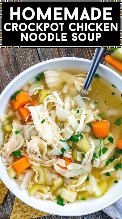 Homemade Crockpot Chicken Noodle Soup Recipe