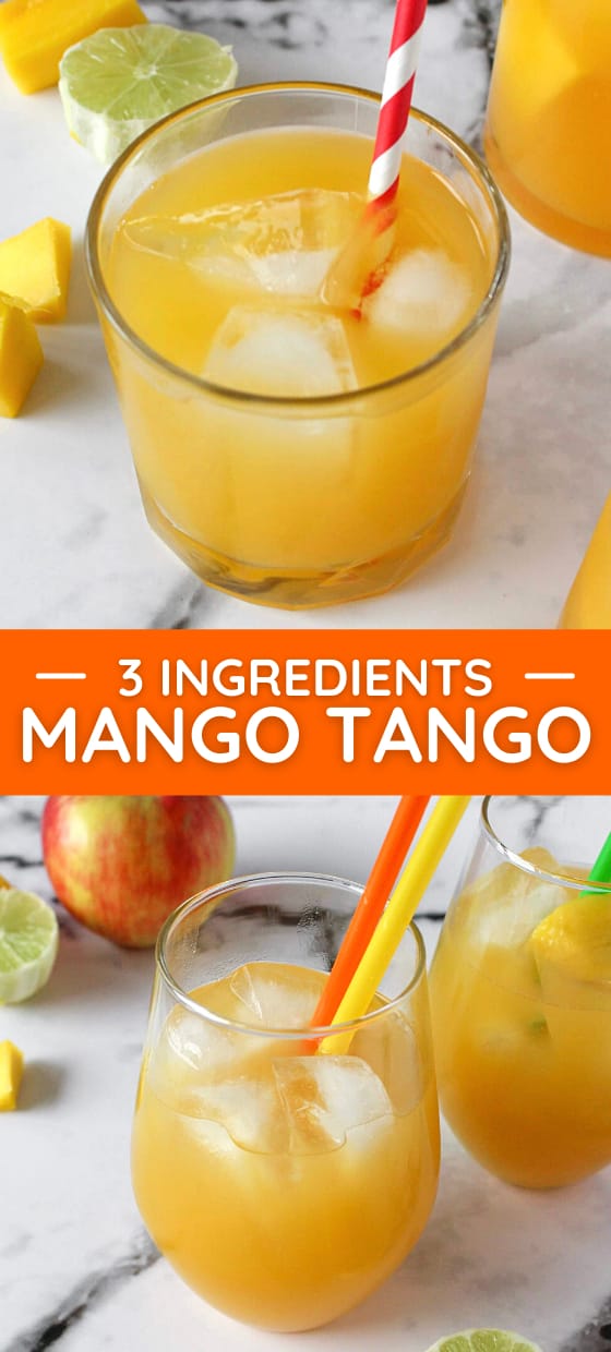 3 Ingredients Mango Tango