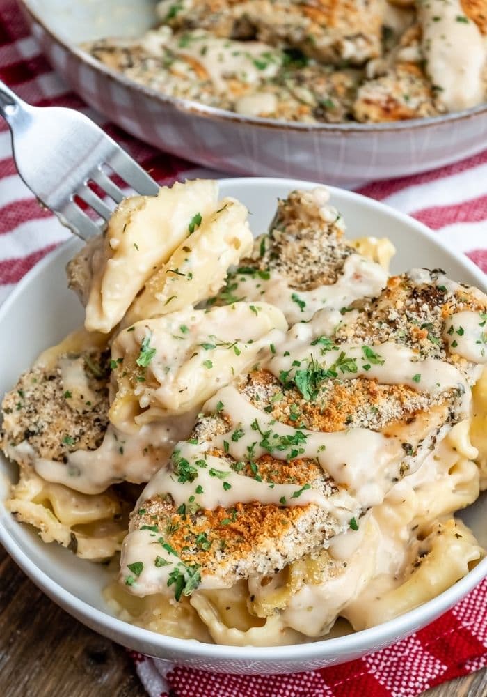 Asiago Tortelloni Alfredo with Grilled Chicken